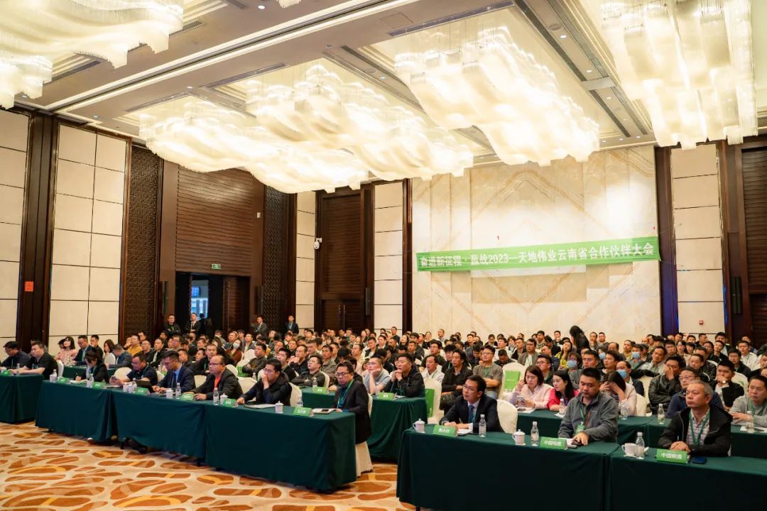 DB真人·(中国区)官方网站