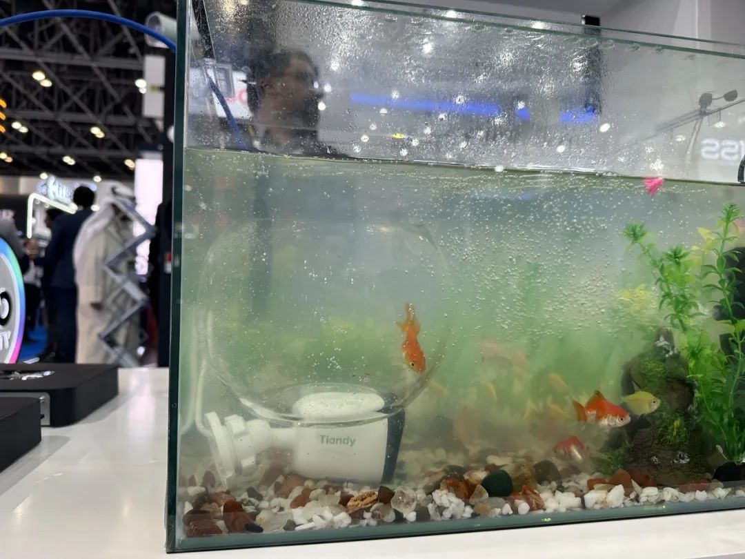 DB真人·(中国区)官方网站